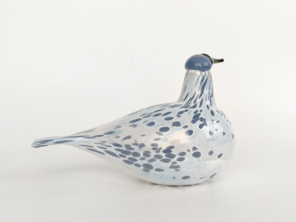 Annual Bird 2013 Mistle Thrush Kulorastas by Oiva Toikka