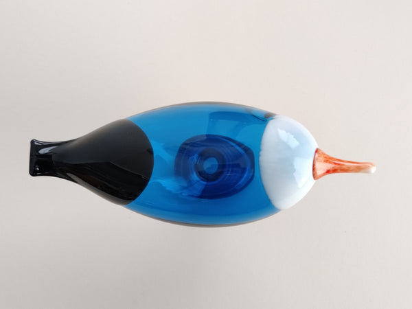 Blue Magpie - Rantaharakka - Oiva Toikka