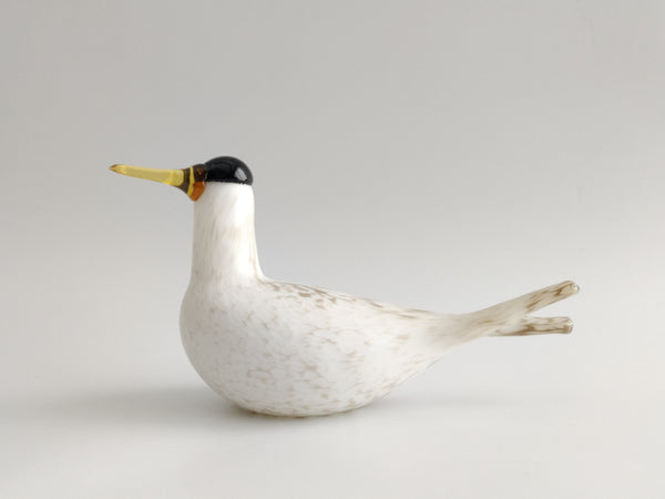 Annual Bird 2000 - Arctic Tern - Lapintiira - Oiva Toikka Nuutajärvi