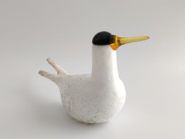Annual Bird 2000 - Arctic Tern - Lapintiira - Oiva Toikka Nuutajärvi