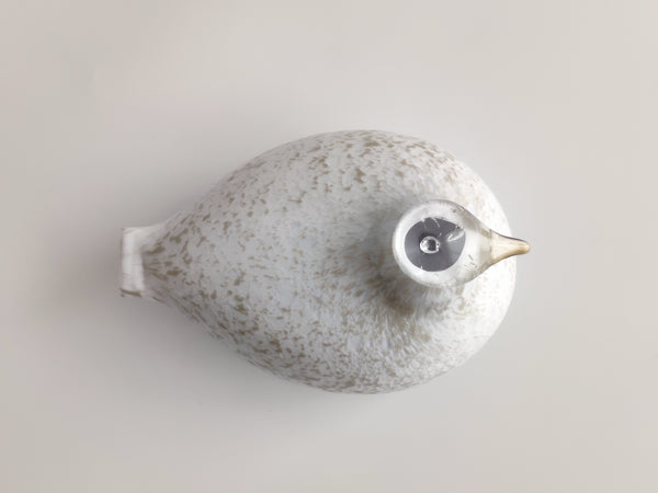 Willow Grouse - Riekko - O.T. Nuutajärvi