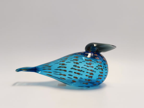 Coral Eider Annual Bird year 2011 - Korallihaahka - Oiva Toikka Birds