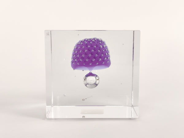 Annual Cube Year 2021 Vuosikuutio Oiva Toikka (NEW)