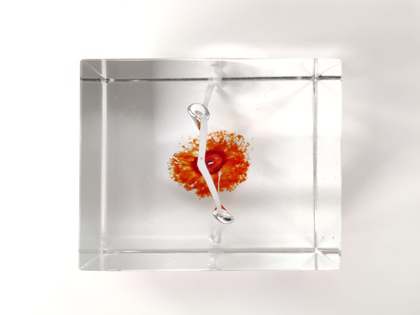 Unique Vintage Cube - Oiva Toikka Nuutajärvi