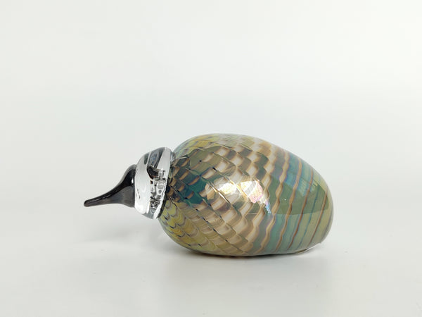 Little Kiwi - Pikkukiwi - My Iittala collection 2018 (NEW)