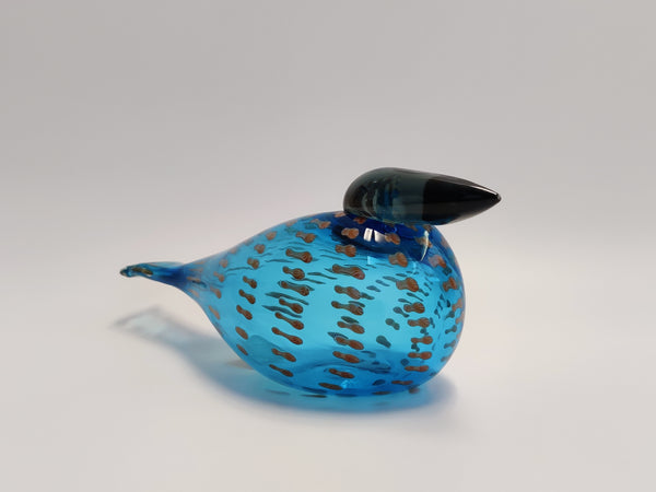 Coral Eider Annual Bird year 2011 - Korallihaahka - Oiva Toikka Birds