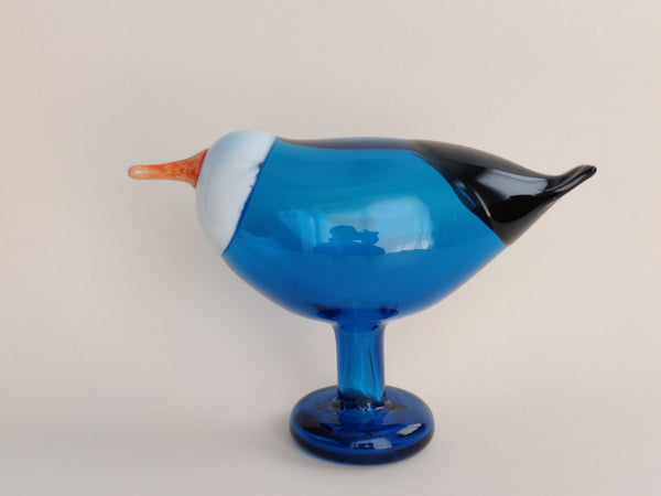 Blue Magpie - Rantaharakka - Oiva Toikka