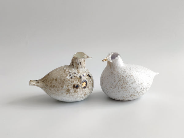 Willow Grouse - Riekko - O.T. Nuutajärvi