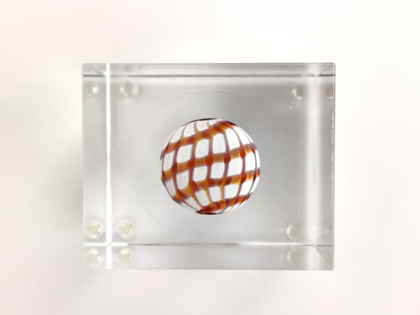 Annual Cube Year 2022 Vuosikuutio Oiva Toikka Iittala (NEW)