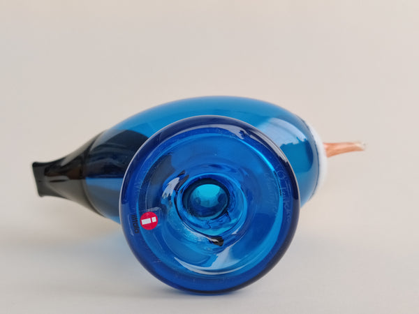 Blue Magpie - Rantaharakka - Oiva Toikka