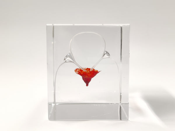 Unique Vintage Cube - Oiva Toikka Nuutajärvi