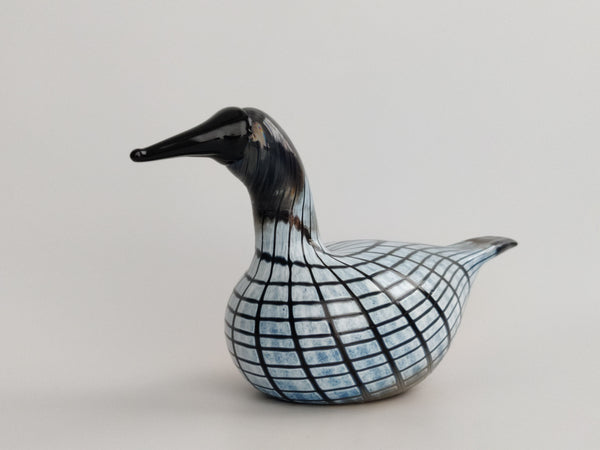 Small Loon-Pikku-Kuikka O.T. II Nuutajärvi 2003-2008