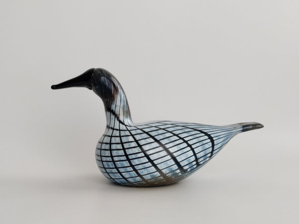 Small Loon-Pikku-Kuikka O.T. II Nuutajärvi 2003-2008