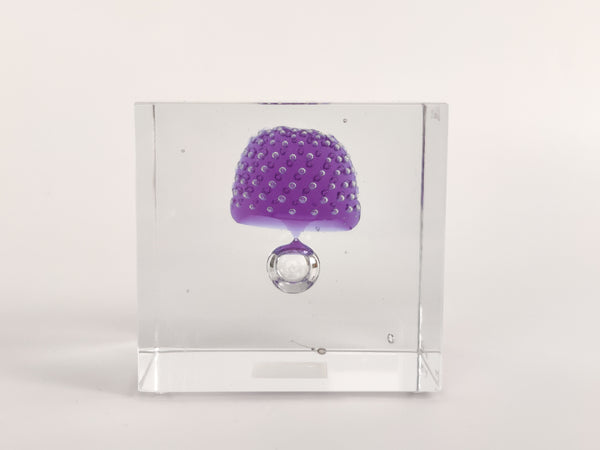 Annual Cube Year 2021 Vuosikuutio Oiva Toikka (NEW)