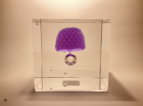 Annual Cube Year 2021 - Oiva Toikka (NEW)