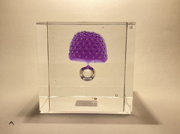 Annual Cube Year 2021 - Oiva Toikka (NEW)