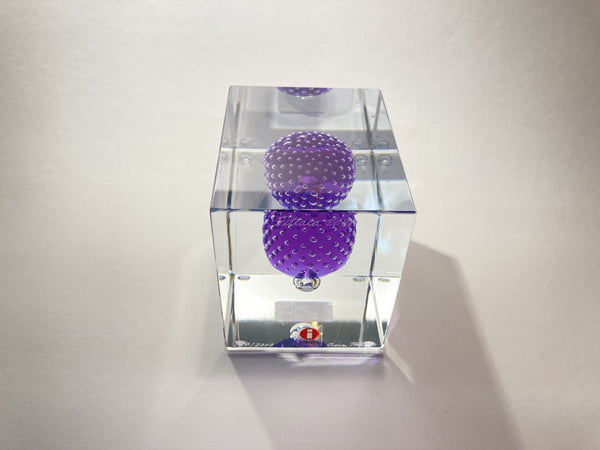 Annual Cube Year 2021 - Oiva Toikka (NEW)