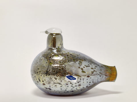 Bird1985FinnboardOivaToikkaNuu