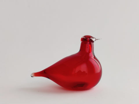 IMG_20221202_122511_large.jpg?