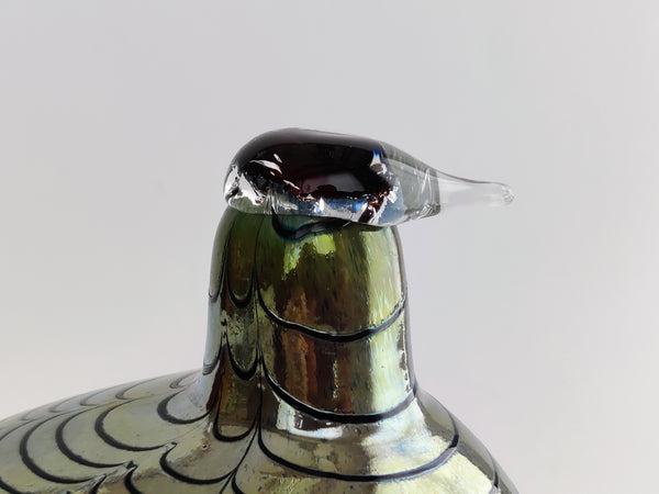 Pheasant - Fasaani - Birds by Oiva Toikka Nuutajärvi 1981-2015
