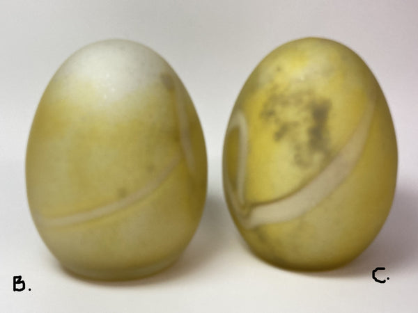 Steller's Eider Eggs shiny numbered or frosted unnumbered by Toikka