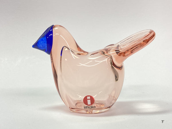 Flycatcher Salmon Pink - Aqua - Sieppo - Birds by Toikka (NEW)