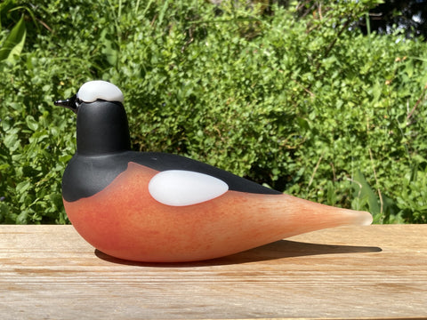 工芸品  birds oiva toikka Mountain bird Oiva Toikka Iittala Finland Glass Bird Mountain Redstart