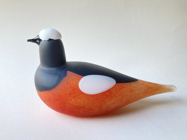 Mountain Redstart - Vuorileppälintu - Birds by Toikka Nuutajärvi