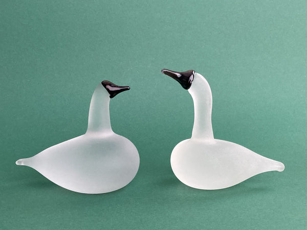 Snow Goose - Birds of Passage by Oiva Toikka Birds Finland