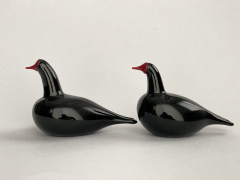 Bald Coot bird by Oiva Toikka Nuutajärvi Birds of Passage Nokikana