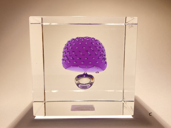 Annual Cube Year 2021 - Oiva Toikka (NEW)