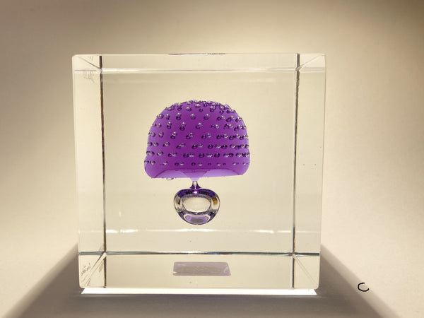 Annual Cube Year 2021 - Oiva Toikka (NEW)