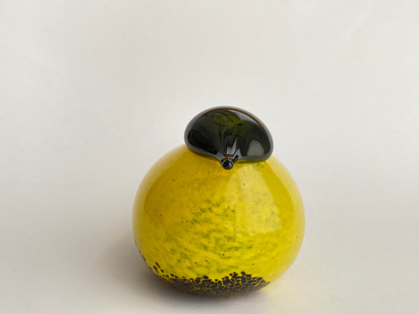 Smew Unique Yellow for CMOG 2019 - Birds by Toikka  (NEW)